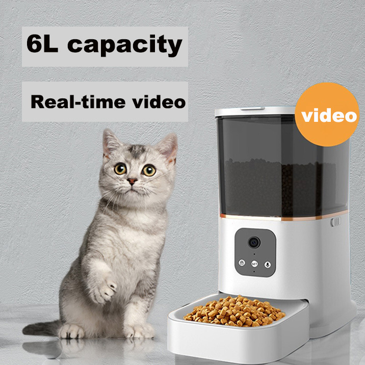 Version vidéo 6L