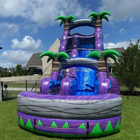 Jeux de plein air, toboggan aquatique gonflable commercial avec piscine, palmier