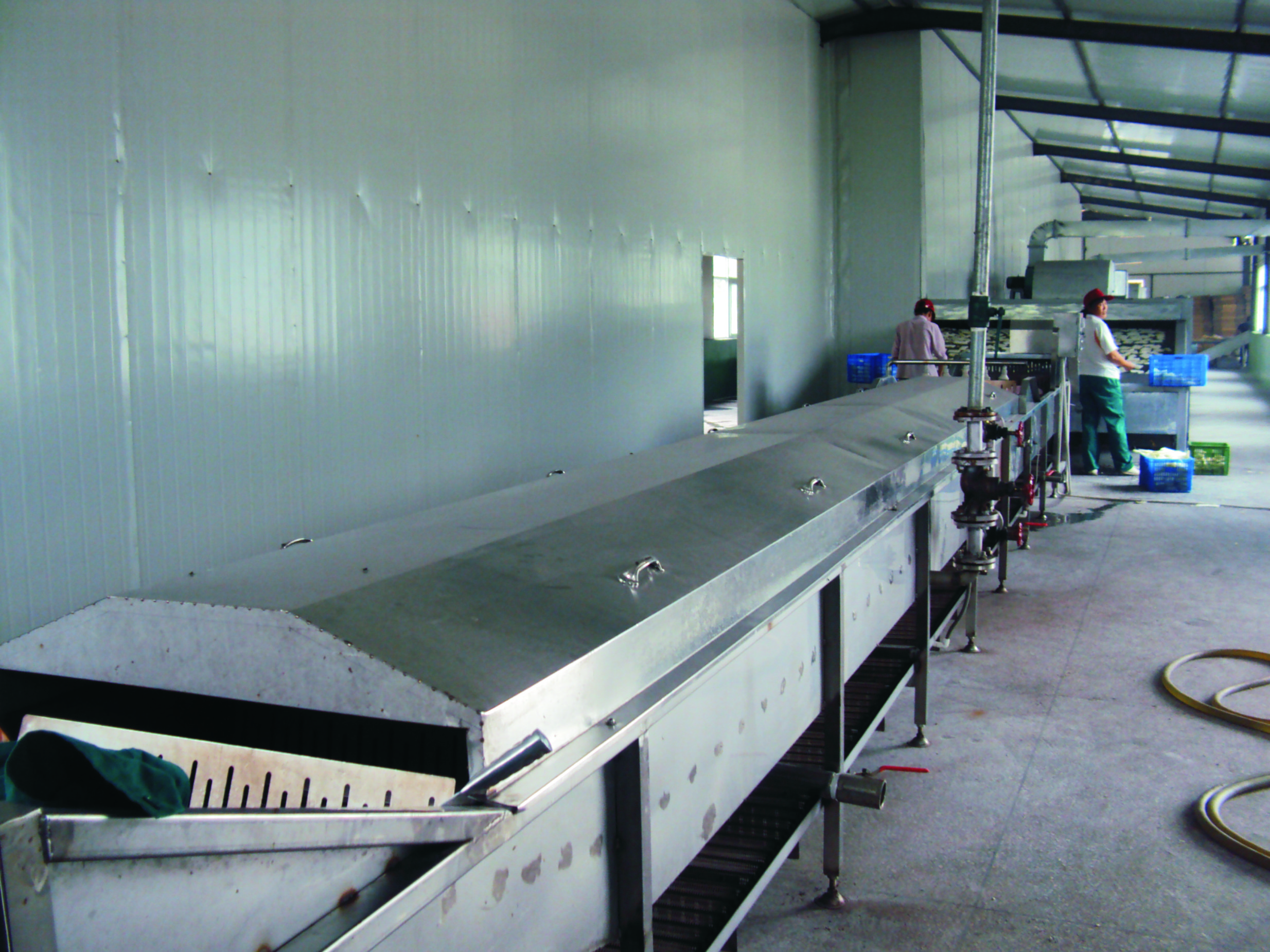 Shouchuang Máy Phôi/Rau Blancher/Thực Phẩm Blanching Máy
