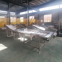 YIHAI Industriële Appel- en Groentewasmachine Model WL400 380V Eenvoudig te bedienen voor voedselverwerkingslijnen