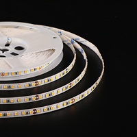 Tira de Luz LED Flexible de 10 mm, DC24V 12V, IP20, Personalizable, para Proyectos Comerciales, Centros Comerciales, Hogar, Oficina, Decoración de Árboles de Navidad
