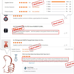 -29 ~ + 450 C kim loại ngồi gang Van cầu FC trong ANSI - Product Image 4