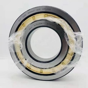 Source Factory NU224E Direct <b>Roller</b> Compatible Motors Long-Life Bearing - Product Image 1