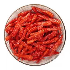 Fournisseur d'épices d'usine, vente en gros de piments rouges séchés/piments séchés, piments rouges séchés - Product Image 1