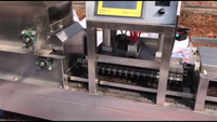 Semoir automatique pour légumes, plateau de remplissage rapide, 750 plateaux/horloge, très bon marché
