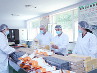 Soja jaune séché biologique non-OGM riche en protéines, qualité supérieure, nouvelle récolte 2025, 5 kg en vrac, Jilin Chine