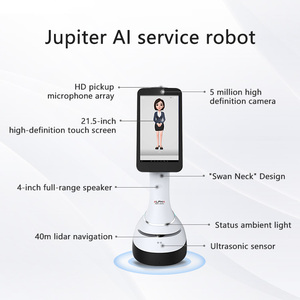 Robot de Recepción <span class=keywords><strong>Jupiter</strong></span>: Robot Humanoide de Bienvenida para Tiendas y Centros Comerciales - Product Image 6