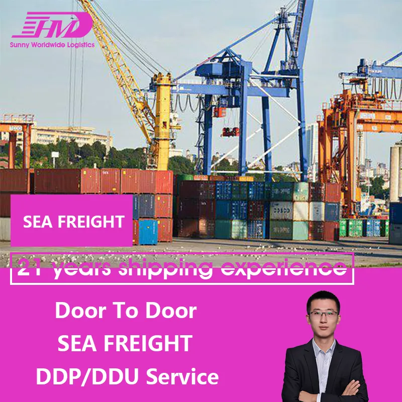 Swwls China Sea Cargo Shipping Forwarding Freight Company中国からヨーロッパへ