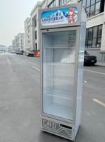 Refrigerador de Bebidas, Enfriador de Jugos, Refrigerador de Cerveza para Bar, Enfriador de Vino, Refrigerador de Doble Temperatura con Enfriamiento Mecánico por Aire