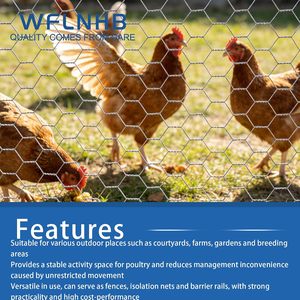 WFLNHB Hexagonal Chicken <b>Wire</b> Poultry Netting Galvanized <b>Mesh</b> 6Feet x 50Feet Garden Fence Barrier Roll - Product Image 5