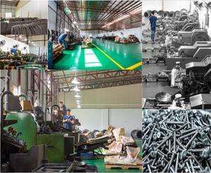 A2-70 Rèn Nguội Búa Vuông <span class=keywords><strong>T</strong></span>ùy Chỉnh Bằng Thép Không Gỉ 304 Bu Lông Chữ <span class=keywords><strong>T</strong></span> Đầu Phẳng - Product Image 5