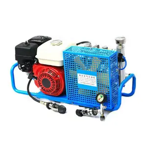 300 bar High Pressure Electric Portable Breathing Air Diving Compressor RKH-100P Scuba Tank Air Compressor