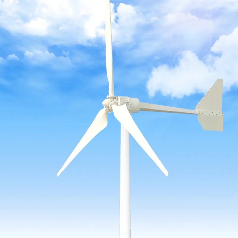 एकल चरण जनरेटर पवन ऊर्जा प्रणाली घर जनरेटर 10 वाट कम लागत के लिए हवा जनरेटर एकल चरण पवन टरबाइन Gener