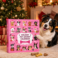 Boîte de calendrier de l'avent pour animaux de compagnie personnalisée pour Noël, 24 jours, emballage cadeau pour friandises pour chiens avec compartiments individuels, compte à rebours pour animaux de compagnie