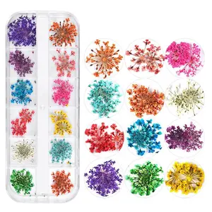 New Arrival Japanese Dry Flowers Nail Art Stickers 13 Styles DIY Dried Flowers for Nails 3D Nail Art Decorations