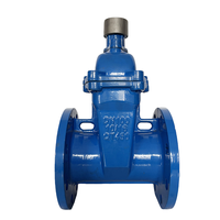 Vanne à opercule souple industrielle à température normale, résistante à la corrosion, à commande manuelle, DN50-DN300, Longguan JMZ45X, direct usine