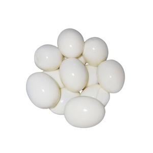 Đóng hộp Trứng chim cút đóng hộp Trứng chim cút đóng hộp thực phẩm bóc vỏ và luộc ngon giá - Product Image 2