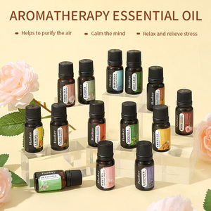 Soluble Aromatherapy Essential Oil 10ml Natural Plant Humidifier Perfume Essential Oil Supplement Wholesale - Product Image 1