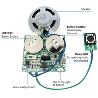Venta caliente/programable descargable usb Módulo de sonido para tarjetas de felicitación grabable Módulo de sonido usb juguete