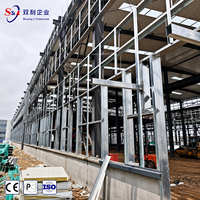 Estructura de Acero Universal para Almacenes, Construcción de Almacenes con Estructura de Acero, Rentable y Galvanizada
