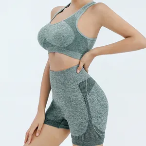 Custom Yoga Sportswear Spandex Women's Sports Vest Bra Sets Breathable Gym Fitness Yoga Set