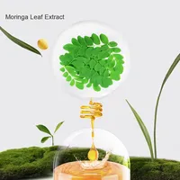 Feuille de Moringa Personnalisée Tablette Bonbons Comprimé de Moringa Naturel Supplément à Base de Plantes Fabricant