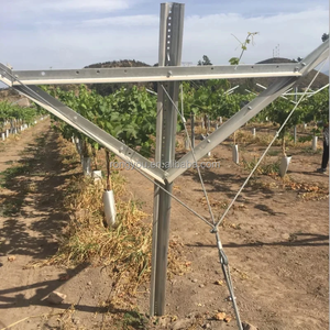 Palo per traliccio metallico per vigneti 2026 Big Y per piante di vite alte - Product Image 1