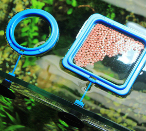 Acquario Fish Tank Floating Feeder Ring Square Round Blue Plastic Aquarium Fish Feeding Rings con ventose - Product Image 6