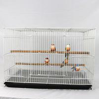 Cages à oiseaux de luxe de type animal de compagnie et matériaux métalliques stockés en gros