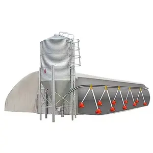 Maiale/Hoggery/Hog House/pollo/anatra sistema di alimentazione automatica attrezzatura mangiatoia per allevatori di polli da carne