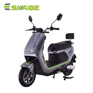 SAIGE 3C N9 1000w LED 스크린 큰 저장 상자 전자 오토바이