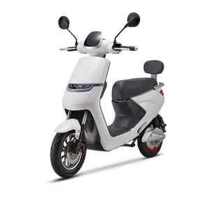 VIMODE 인도 sidecar 오프로드 전자 자전거 완전 법률 전기 오토바이 이동식 페달 지원
