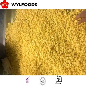 Mango de fruta congelada, Mango Seco de calidad premium para aperitivos y cocina - Product Image 5