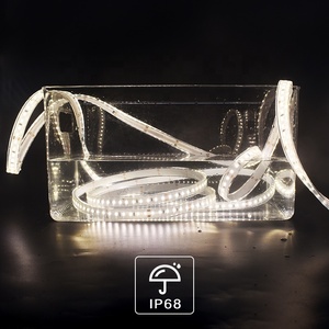 Linh hoạt PU đóng gói <span class=keywords><strong>LED</strong></span> <span class=keywords><strong>Strip</strong></span> 120LED/M 12V/24V điện áp kép cho hồ bơi 2700k-6500K 5M 10M cuộn cao sáng IP68 <span class=keywords><strong>LED</strong></span> <span class=keywords><strong>Strip</strong></span> - Product Image 1