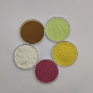 อาหารเสริมผงไบฟิโดแบคเทเรียมใบยาวเกรดอาหารผงโปรไบโอติกบริสุทธิ์ - Product Image 2