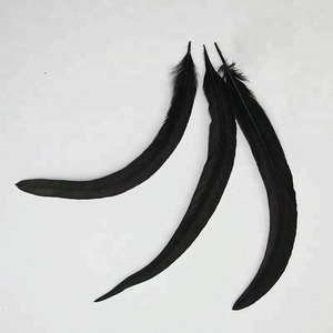 Giao Hàng Nhanh Chóng 12-14 Inch(30-35 Cm) Lựa Chọn Một Cách nhân tạo Đen Nhuộm Dậu Đuôi Lông Cho Lễ Hội Mũ Trang Trí Số Lượng Lớn Bán - Product Image 5