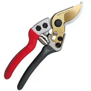 Fruit Tree Pruning And Pruning Garden Pruning Specialized Scissors