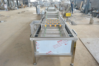 HUAGANG Industriële Commerciële Groente Fruit Was- en Droogmachine Model MQX-4000 Motor Luchtbelreiniging SUS304 RVS