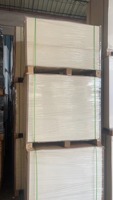 Rouleau de matières premières à noyau super absorbant papier absorbant de sève airlaid