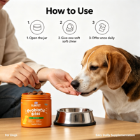 Compléments nutritionnels pour animaux de compagnie Replenza Nutrition avec probiotiques et enzymes pour soutenir la digestion en OEM/ODM