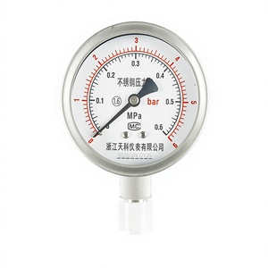 Manômetro de Pressão a Vácuo em Aço Inoxidável TK-YB-100 - Pressão Negativa para Água/Óleo - Faixa de -0.1 a 60MPa - Product Image 2