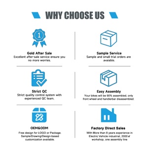 <span class=keywords><strong>Triciclo</strong></span> Elettrico Cargo a 3 Ruote con Pneumatici Fat da 48V 250W - Product Image 4