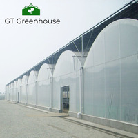 Serre Agricole GT Grande Serre Commerciale pour l'Agriculture