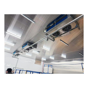 Conteneur frigorifique de <span class=keywords><strong>20</strong></span> et 40 pieds, <span class=keywords><strong>congélateur</strong></span> à refroidissement rapide pour aliments à haute productivité. - Product Image 6