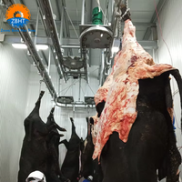 Ligne d'abattage d'abattoir pour bovins