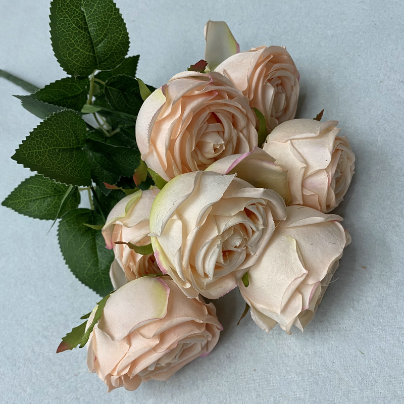 10 rose champagne