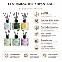 Diffuseur de parfum d'intérieur de luxe de haute qualité à bâtonnets en verre, aux huiles essentielles naturelles, pour une diffusion longue durée