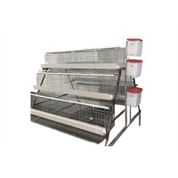 500 Cages pour poules pondeuses Cage pour poulets de chair