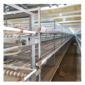 กรงเลี้ยงไก่ไข่แบบอัตโนมัติ 3-6 ชั้น แบบ H สำหรับฟาร์มสัตว์ปีก - Product Image 1