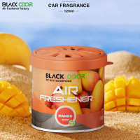 Désodorisant d'ambiance de luxe pour voiture et maison, à l'huile essentielle naturelle, évaporation longue durée, élimination des odeurs, en métal africain